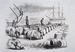 樽の中の油を測る捕鯨船員たち（『The American Whale Fishery』1850年頃より）（彫刻 作： American School