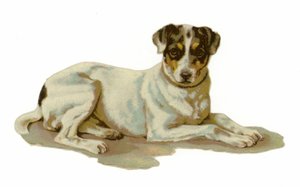 横になっている若い犬 作： American School
