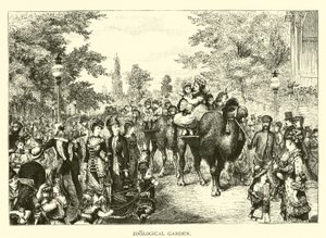 動物園 作： American School