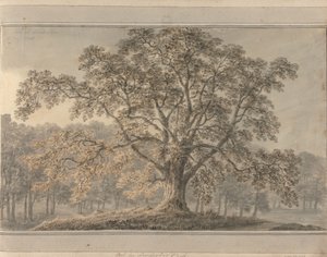 Views in England, Scotland and Wales: Ash in Londesbro Park, May 1800   1433740   ja       japanese Successfully Translated  Original: Port Translat: Port 1448729 ja japanese Successfully Translated Original: Gateway, Canterbury Cathedral (etching on india 作： Amos Green