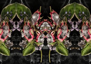 2016年 Eve_01（写真）