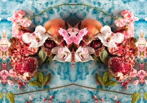 Eve_04、2016（写真）