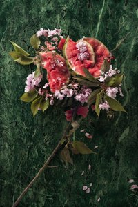 Eve_09, 2016 (写真)