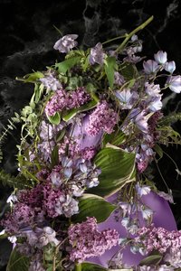 Eve_12, 2016 (写真)