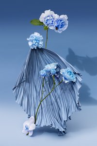 いけばな 2018年03月号（撮影）