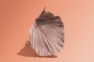 いけばな 2018年07月号（撮影）