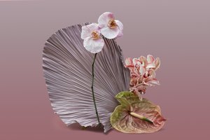 いけばな 2018年12月号（撮影）