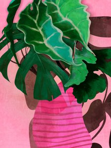 残りのページ 13a 2