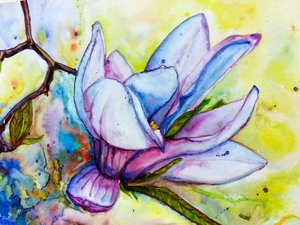 鮮やかなマグノリアの花 作： Anda Bieza