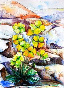 色鮮やかな山の花 作： Anda Bieza
