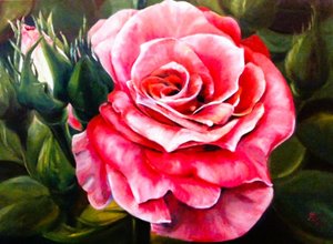 鮮やかなピンクのバラの花 作： Anda Bieza