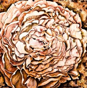 温もりのある牡丹の花 作： Anda Bieza