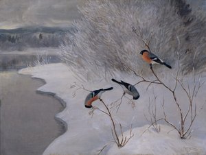 みごと 作： Anders Kongsrud