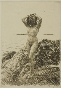 Hårtång (海藻リース)