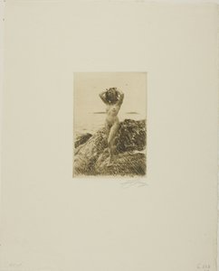 Hårtång (シーウッド リース) 作： Anders Leonard Zorn