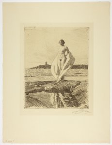 白鳥 作： Anders Leonard Zorn