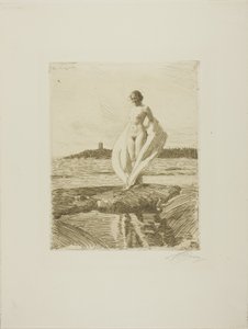 白鳥 作： Anders Leonard Zorn
