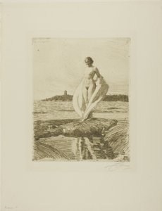 白鳥 作： Anders Leonard Zorn