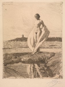 白鳥 作： Anders Leonard Zorn