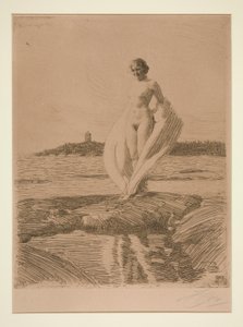 白鳥 作： Anders Leonard Zorn