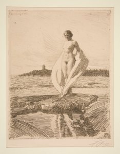 白鳥 作： Anders Leonard Zorn