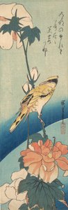 アオイ科の植物の幹に乗ったコウライウグイス、カリフォルニア州。 1834年頃。 1834年。 作： Ando Hiroshige