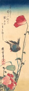 ブルーバードとポピー、1832-34., 1832-34. 作： Ando Hiroshige