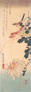 ミソサザイと菊、約。 1830年頃。 1830年。 作： Ando Hiroshige
