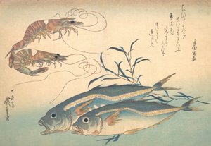 魚づくしシリーズより アジと車海老, 1830s., 1830s.