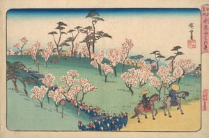 飛鳥山 花見。 作： Ando Hiroshige