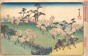 飛鳥山 花見。 作： Ando Hiroshige