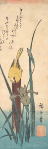 鳥とアイリス。 作： Ando Hiroshige