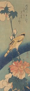 アオイ科の植物の茎にとまるコウライウグイス、カリフォルニア州。 1834年頃。 1834年。 作： Ando Hiroshige