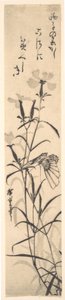 蝶と花のピンクの白黒プリント。 作： Ando Hiroshige