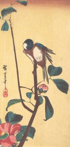 ツバキと青い頭の鳥、約。 1833年頃。 1833年。 作： Ando Hiroshige