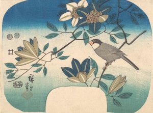 クレマチスと鳥, 1852., 1852. 作： Ando Hiroshige