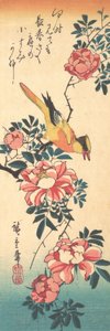 イースタンハイセキレイとバラ、1830 年代初期、1830 年代初期。 作： Ando Hiroshige