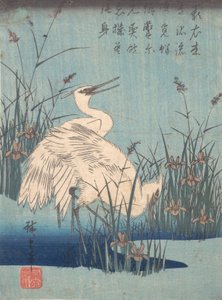 アイリスと草の白鷺、カリフォルニア州。 1837年頃。 1837年。 作： Ando Hiroshige
