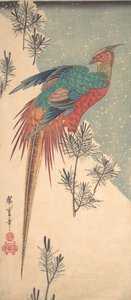 ゴールデン フェザントとパイン シュート in Snow , ca. 1835年頃。 1835年。 作： Ando Hiroshige