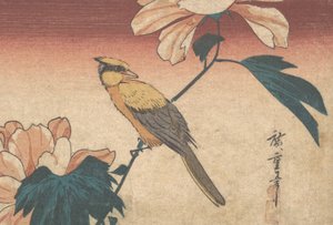 Hibiscus Mutabilis と Jay, ca. 1840年頃 1840年 作： Ando Hiroshige