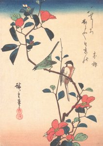 ツバキの枝にいるメジロとシジュウカラ。 1840年頃。 1840年。 作： Ando Hiroshige