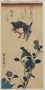 カワセミとキキョウ、1830年代初頭または半ば。 作： Ando Hiroshige