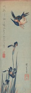 カワセミと菖蒲、1832-34。、1832-34。 作： Ando Hiroshige