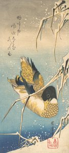 マガモと雪に覆われた葦、カリフォルニア州。 1832年頃。 1832年。 作： Ando Hiroshige