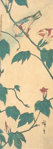 朝顔と鳥, 1840-50., 1840-50. 作： Ando Hiroshige