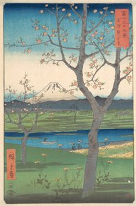 武蔵、越谷材、安政元年（1858）四月馬、安政元年（1858）四月馬。 作： Ando Hiroshige