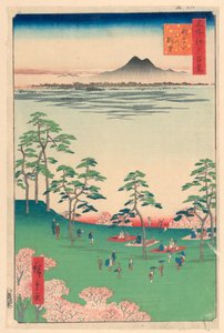 名所江戸百景 飛鳥山北の頂望（飛鳥山北の町望） 作： Ando Hiroshige