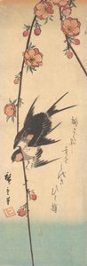 梨の花とツバメ、カリフォルニア州。 1840年頃。 1840年。 作： Ando Hiroshige