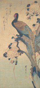 菊とキジ、約。 1835年頃。 1835年。 作： Ando Hiroshige