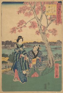 1854年「F...での年中行事」シリーズより隅田川での3月の梅の花見. 作： Ando Hiroshige